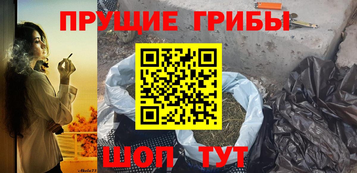 где можно купить   Вход с VPN  Шахты  Псилоцибиновые грибы Magic Shrooms 